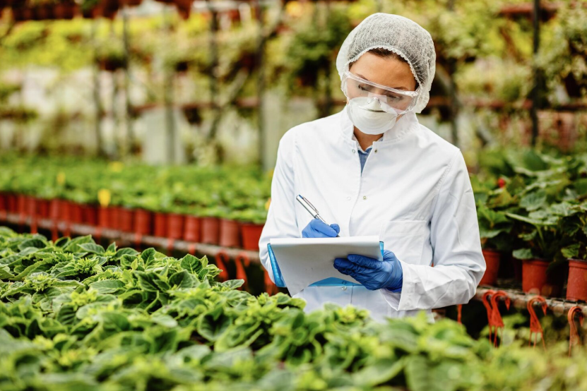 Food Safety Certificate Translation Services in Thottiyam | Honey Translation Services